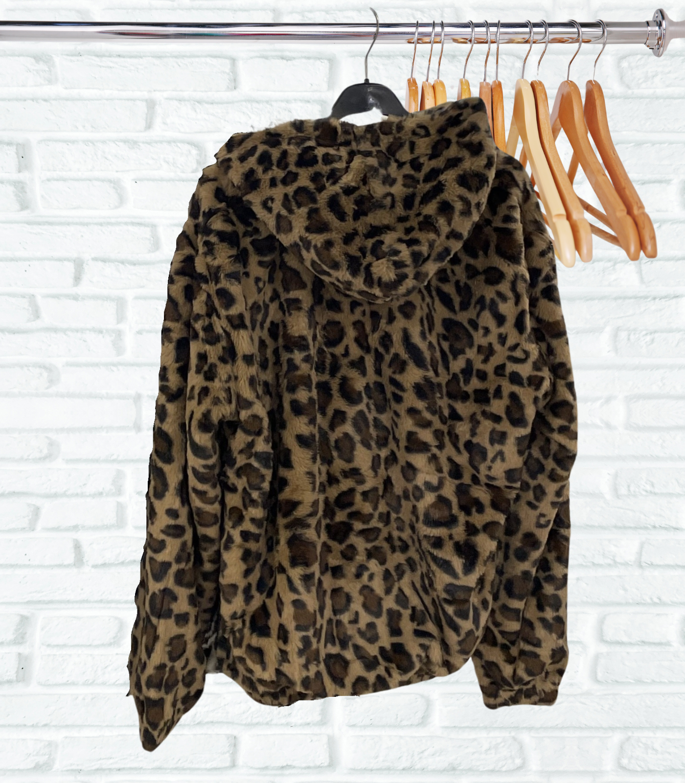 Teddy-Jacke Leo